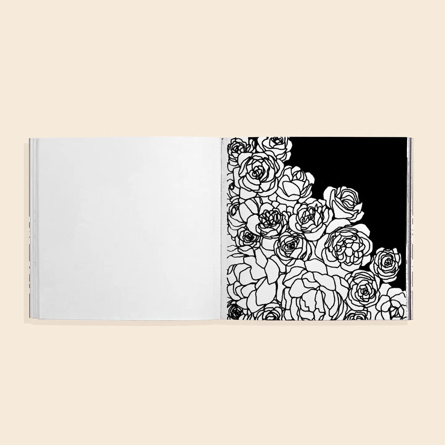 Bloom Coloring Book