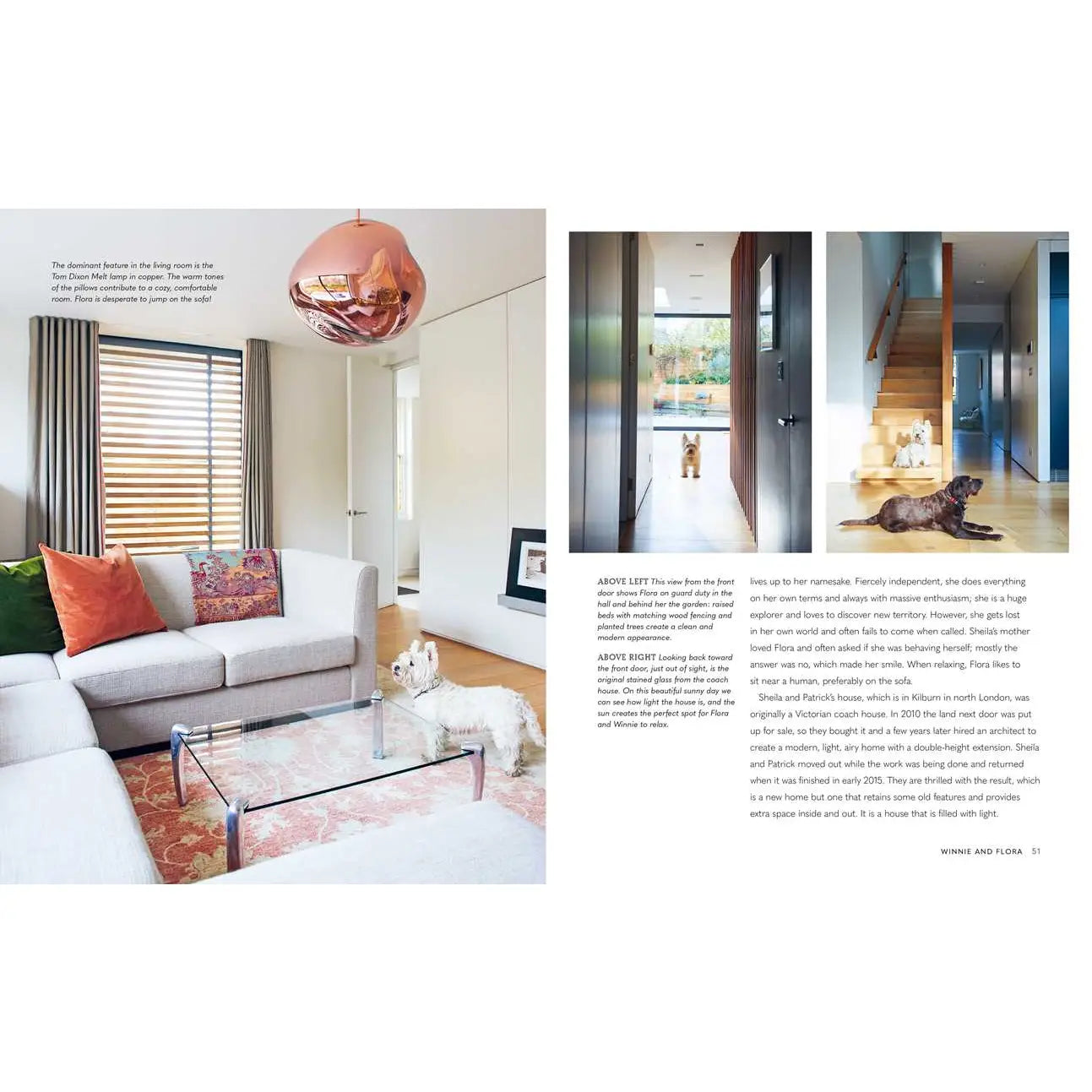 Cool Dogs Cool Homes