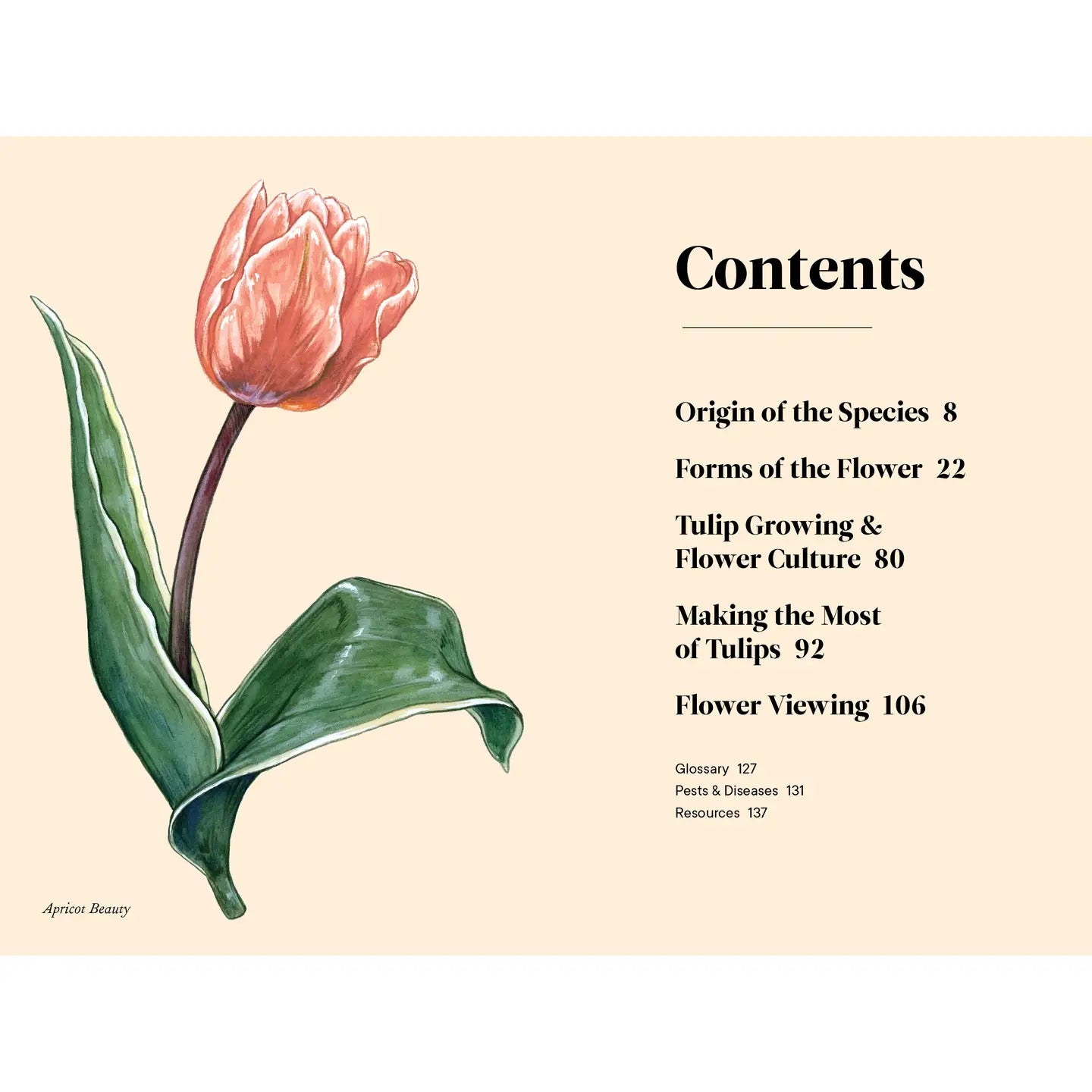 Tulips Book